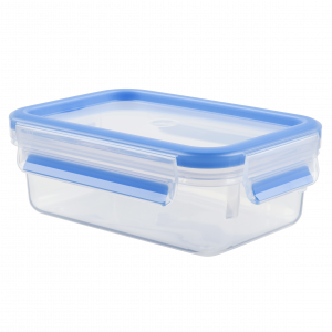 Anum Tefal Masterseal Fresh 1,00 l