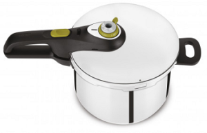 Aurusurvepott Tefal Secure 5 Neo 4 l