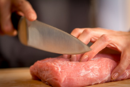 Nuga Tefal Ice Force Roostevaba teras 20 cm