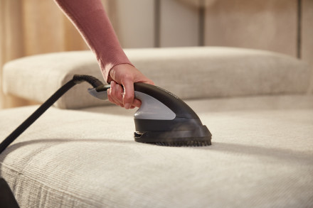 Triikimiskeskus Tefal IXEO+