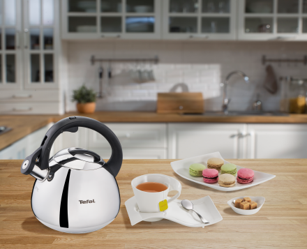 Roostevabast terasest veekeetja Tefal Induction 2,7 l