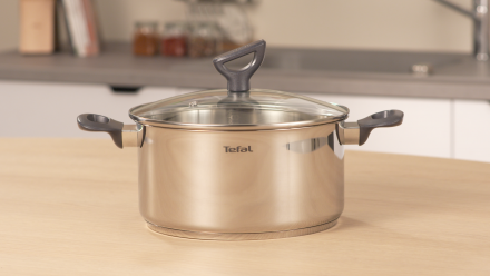 Kaanega pott Tefal Daily Cook 20 cm