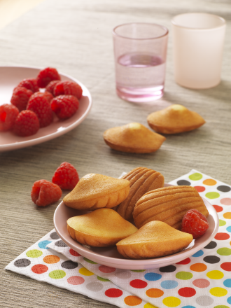 Vahetatavad plaadid Snack Collection Tefal Mini madeleined